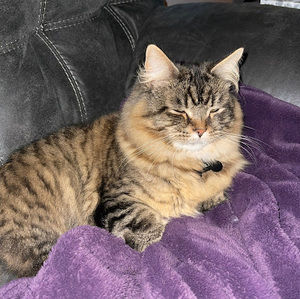 Meet your Posher, Breanna